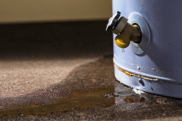 Best Water damage cleanup near me  in Palmer Ranch, FL