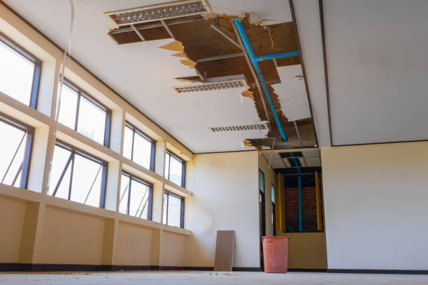 Best Emergency water damage restoration  in Palmer Ranch, FL