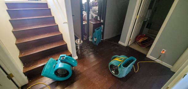 Best Water damage contractors near me  in Palmer Ranch, FL