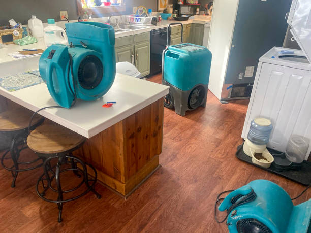 Best Local water damage restoration  in Palmer Ranch, FL