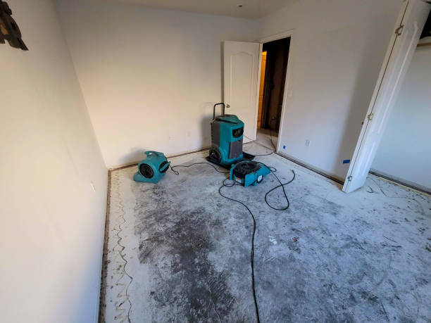 Best Fire Damage Restoration  in Palmer Ranch, FL
