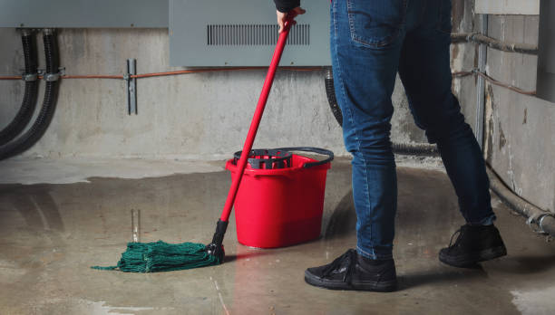 Best Water damage restoration process  in Palmer Ranch, FL
