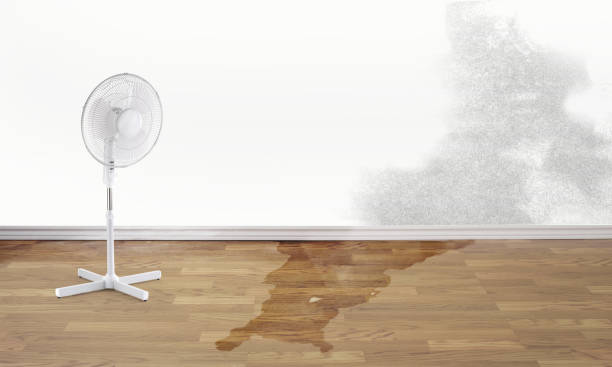 Best 24/7 water damage repair  in Palmer Ranch, FL