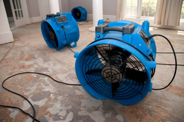 Best Flood restoration services  in Palmer Ranch, FL