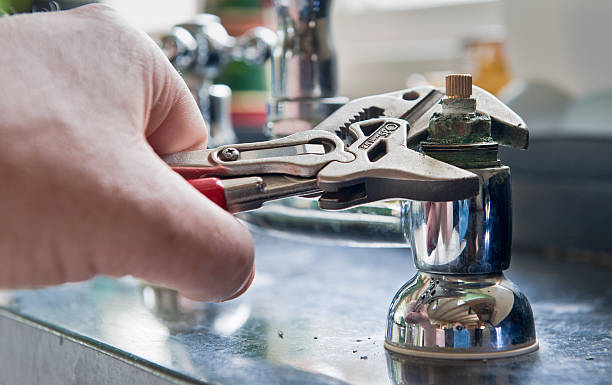 Best Sewage cleanup and water damage restoration  in Palmer Ranch, FL