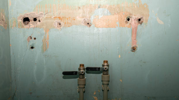 Best 24-hour water damage restoration  in Palmer Ranch, FL