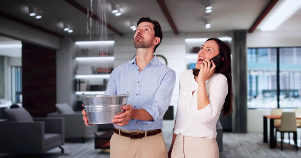 Best Carpet water damage restoration  in Palmer Ranch, FL